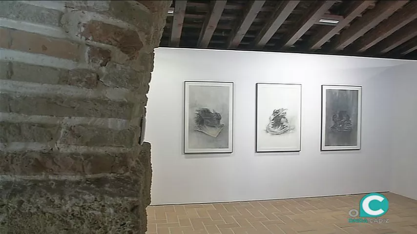 noticias cadiz expo vanitras.jpg noticias cadiz expo vanitras.jpg