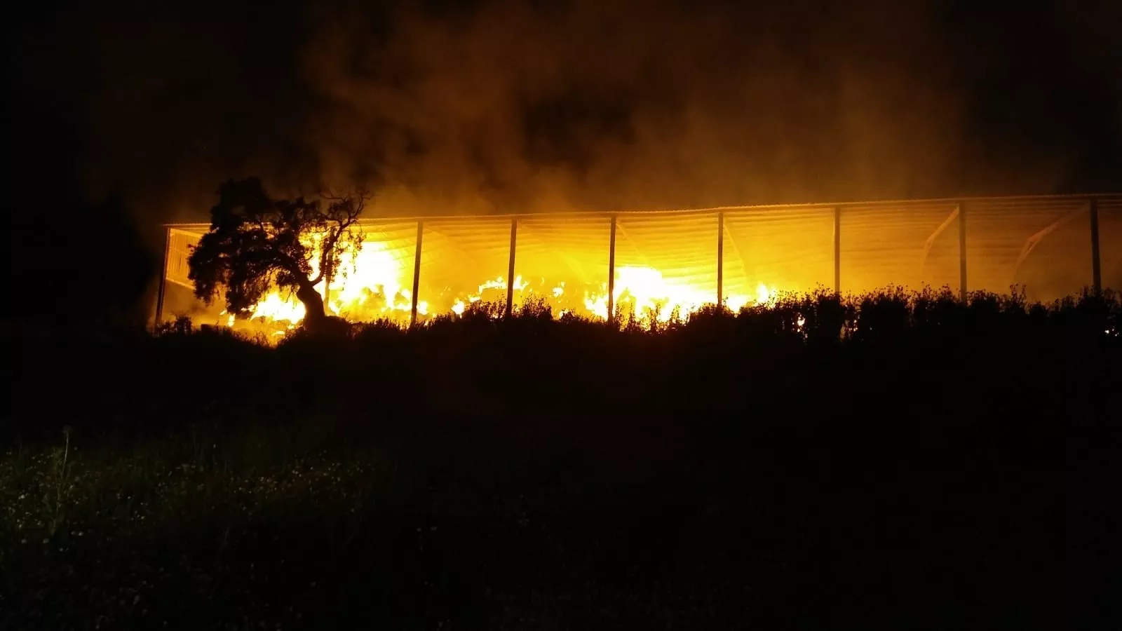 noticias cadiz incendio villamartin.jpg noticias cadiz incendio villamartin.jpg