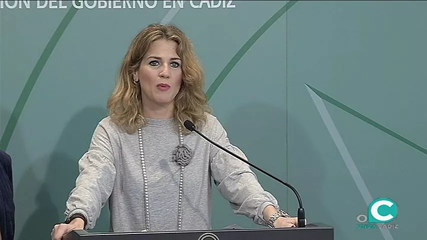 noticias cadiz mestre impuestos.jpg noticias cadiz mestre impuestos.jpg