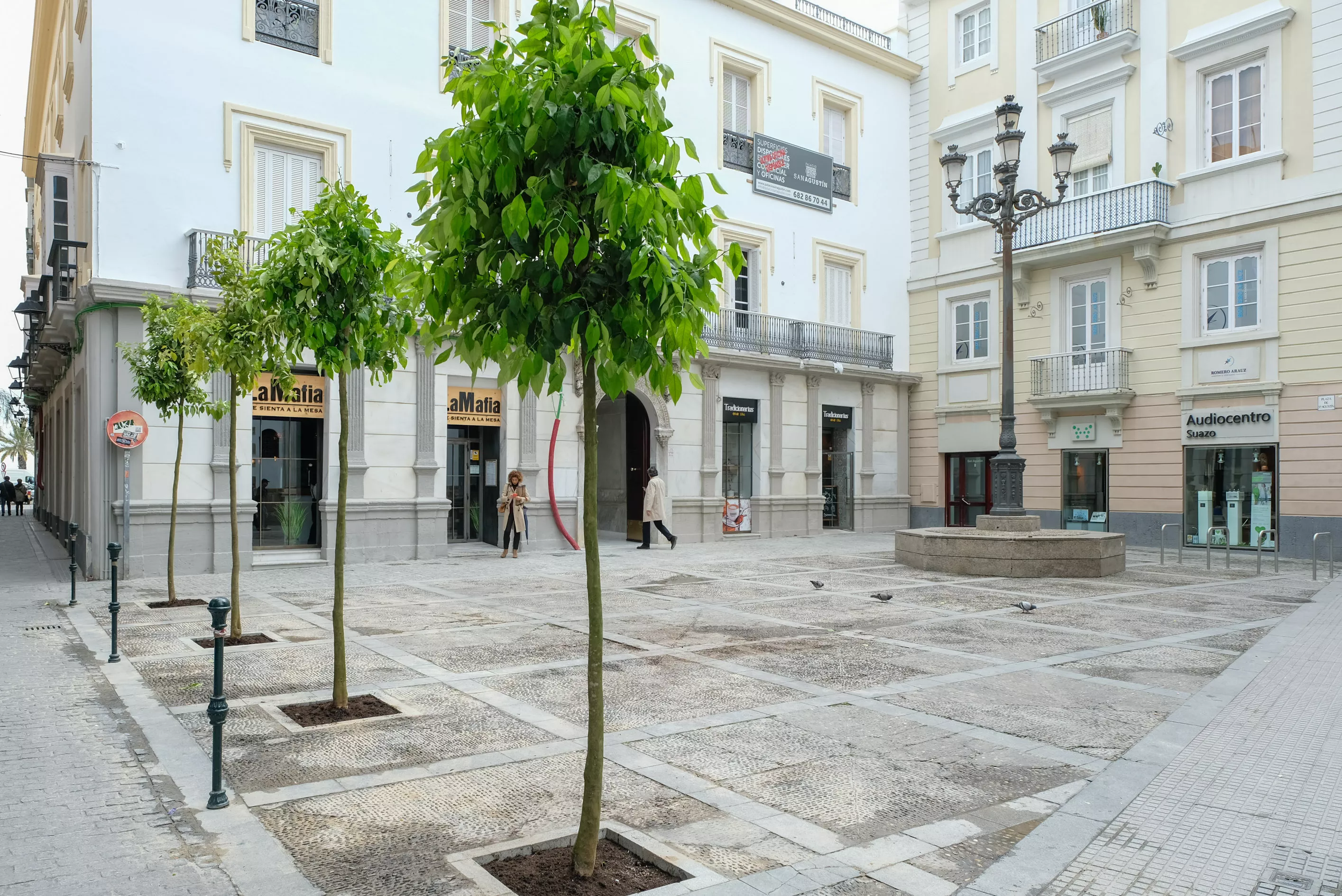 noticias cadiz naranjos plaza san agustín-001.jpg noticias cadiz naranjos plaza san agustín-001.jpg
