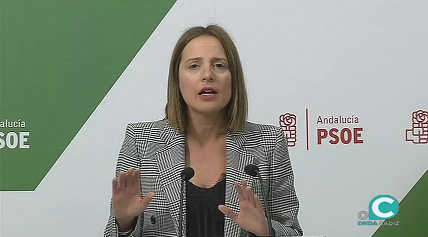 noticias cadiz psoe_50.jpg noticias cadiz psoe_50.jpg