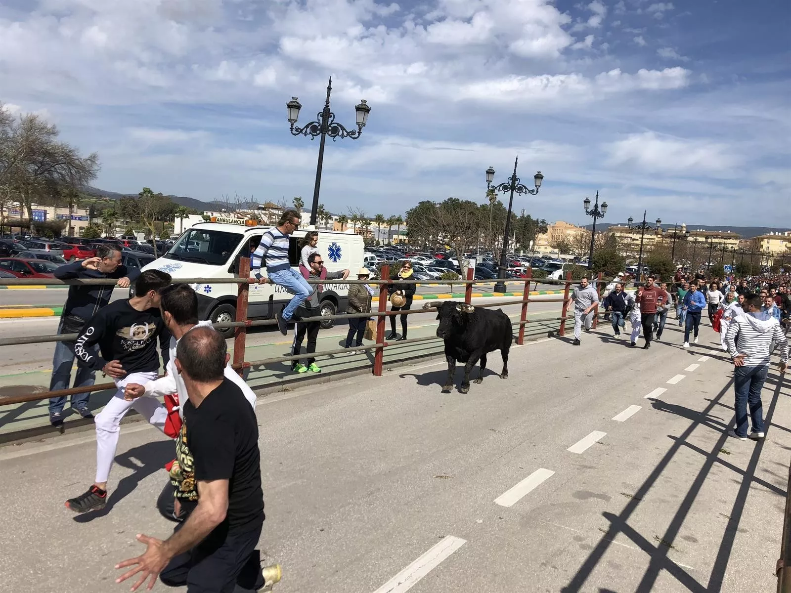 noticias cadiz toro embolao Los Barrios.jpg