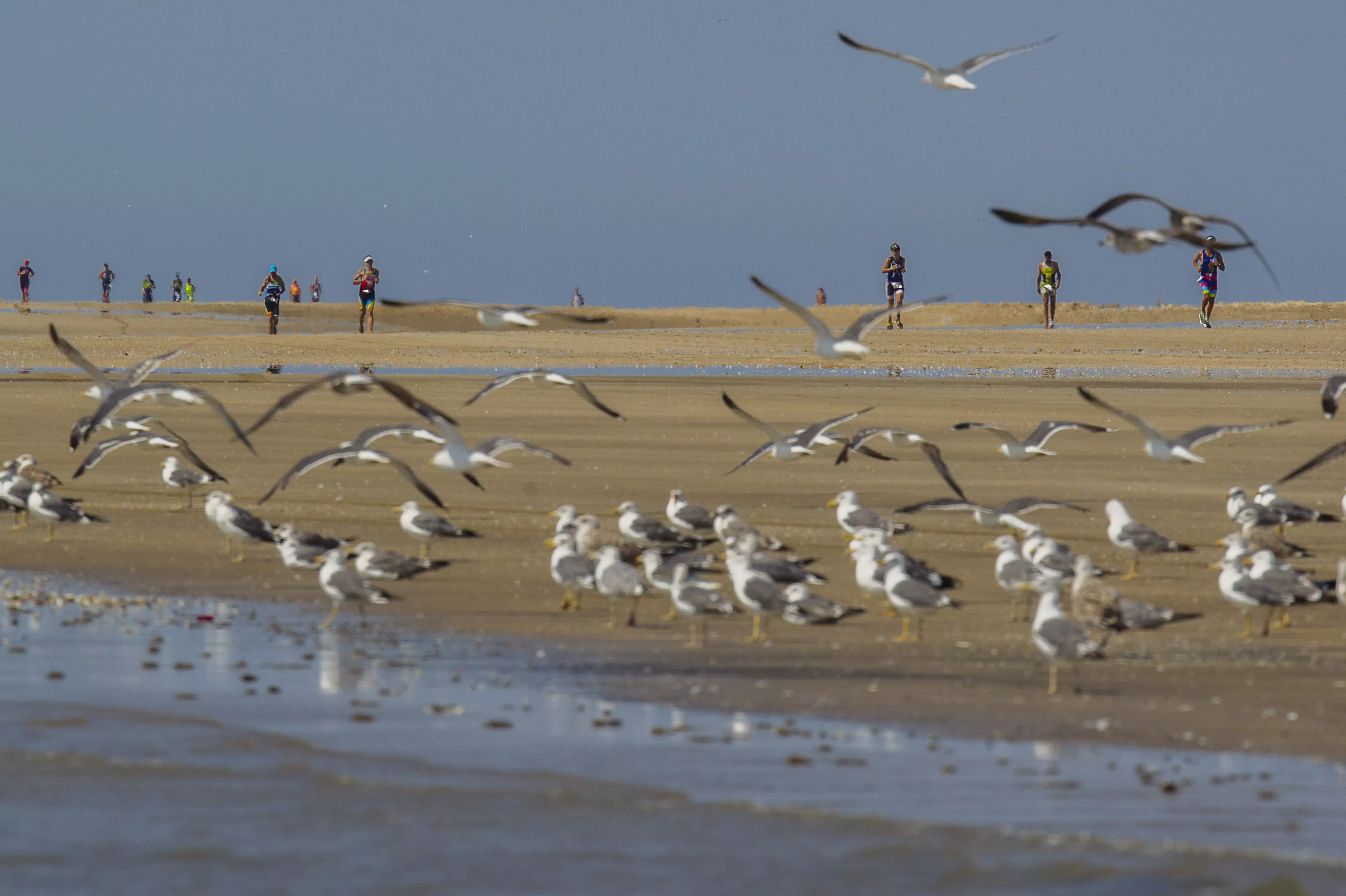 noticias cadiz Desafío Doñana.jpg