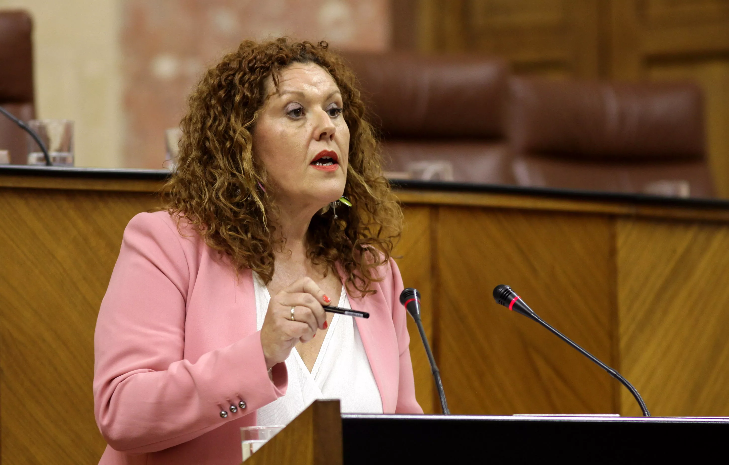 noticias cadiz araceli maese_10.jpg noticias cadiz araceli maese_10.jpg
