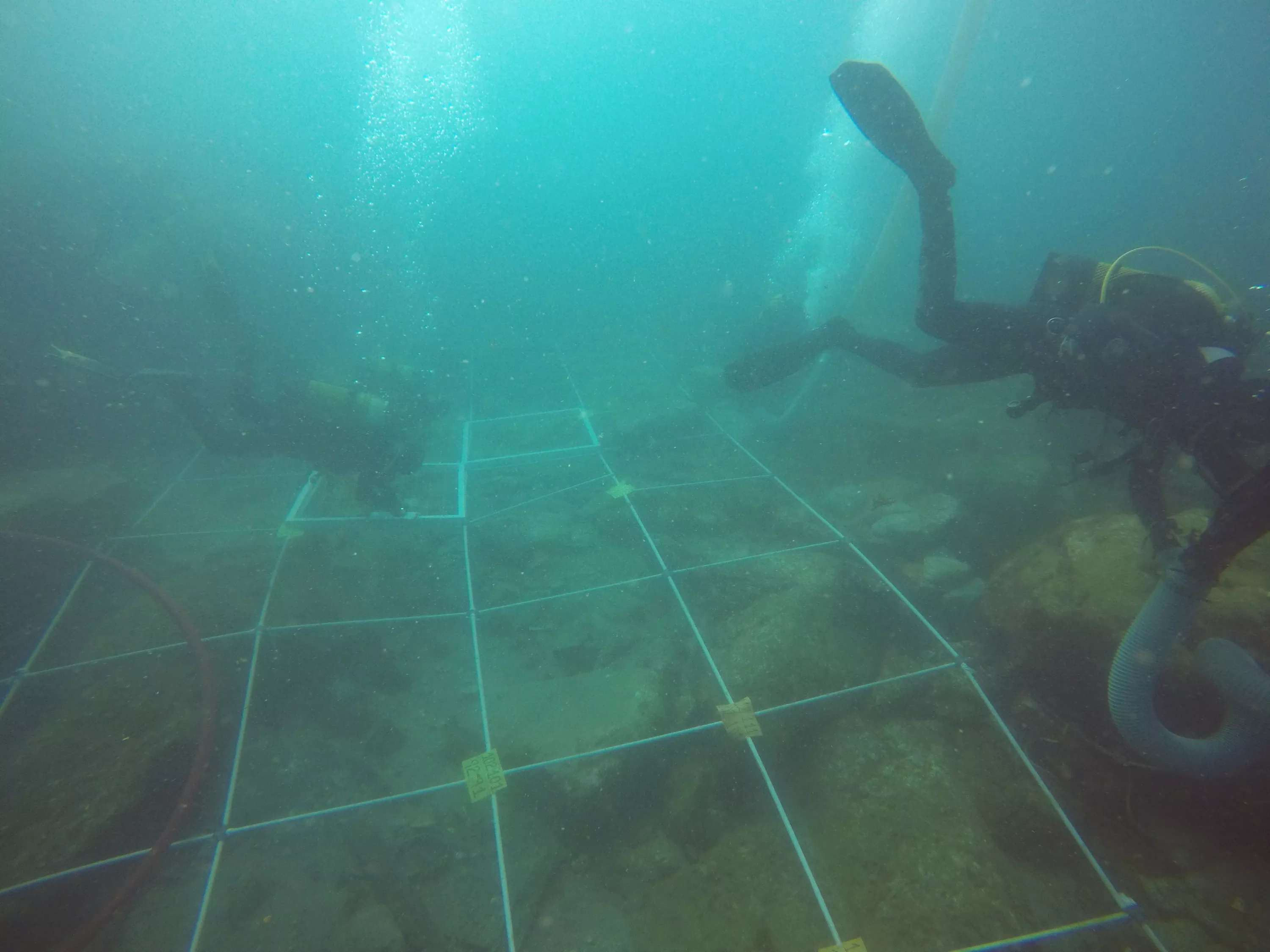noticias cadiz arqueologia.JPG noticias cadiz arqueologia.JPG