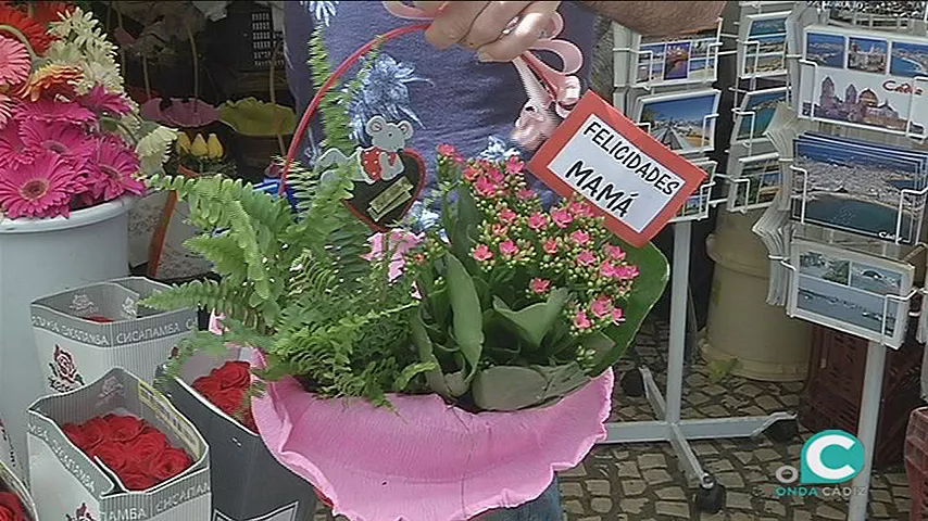 noticias cadiz dia de la madre_0.jpg noticias cadiz dia de la madre_0.jpg
