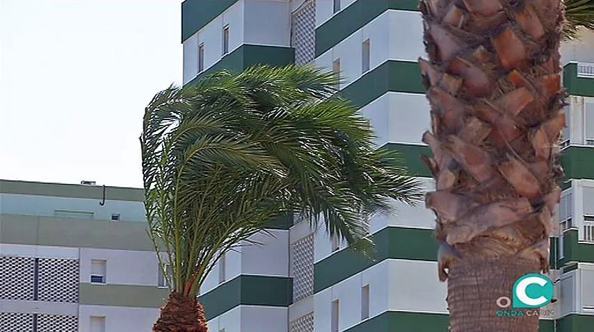 noticias cadiz levante1_0_0.jpg noticias cadiz levante1_0_0.jpg