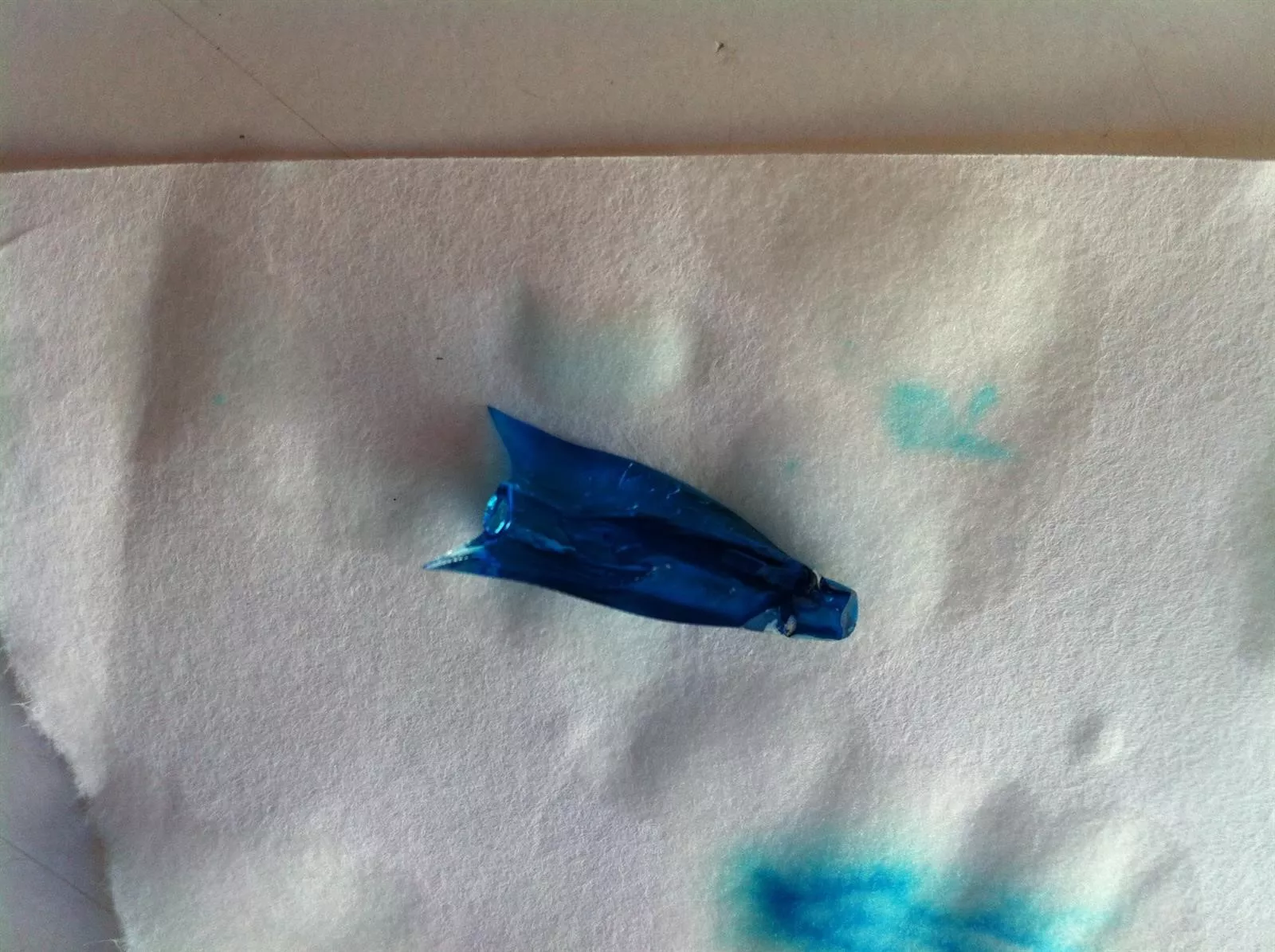 noticias cadiz organismos marinos_0.jpg noticias cadiz organismos marinos_0.jpg