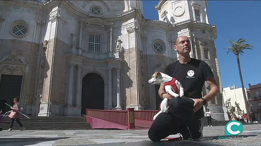 noticias cadiz perro catedral.jpg