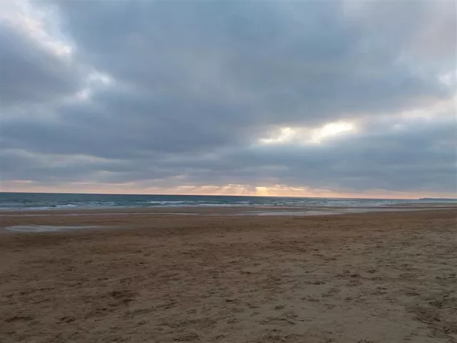noticias cadiz playa el palmar_0.jpg noticias cadiz playa el palmar_0.jpg