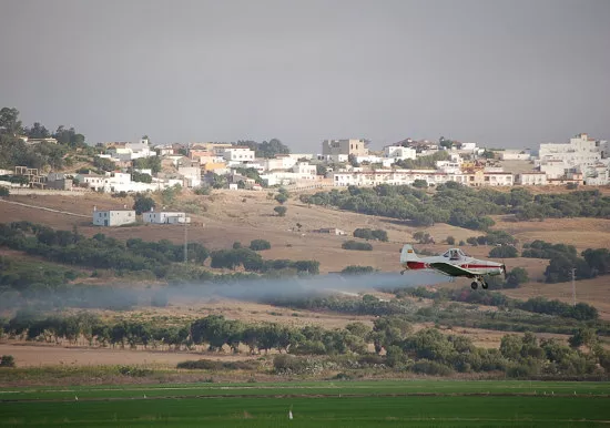 Copia-Avioneta-fumigando-cerca-de-Benaup.jpg_1628636339.jpg Copia-Avioneta-fumigando-cerca-de-Benaup.jpg_1628636339.jpg