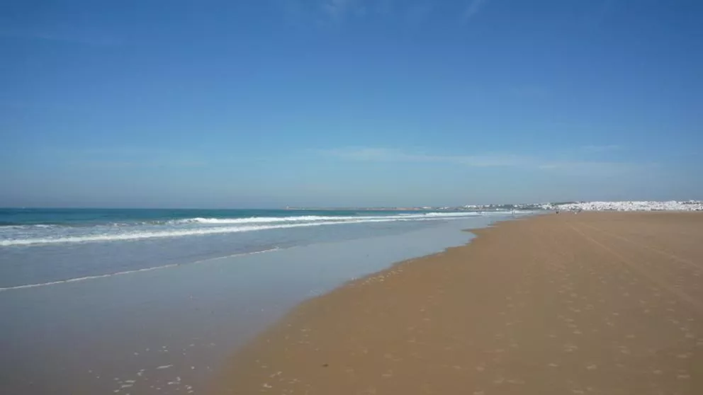 img_adomenech_20161211-133338_imagenes_lv_otras_fuentes_playa_el_palmar-kGJI-U462756286674rUD-992x558@LaVanguardia-Web.jpg img_adomenech_20161211-133338_imagenes_lv_otras_fuentes_playa_el_palmar-kGJI-U462756286674rUD-992x558@LaVanguardia-Web.jpg