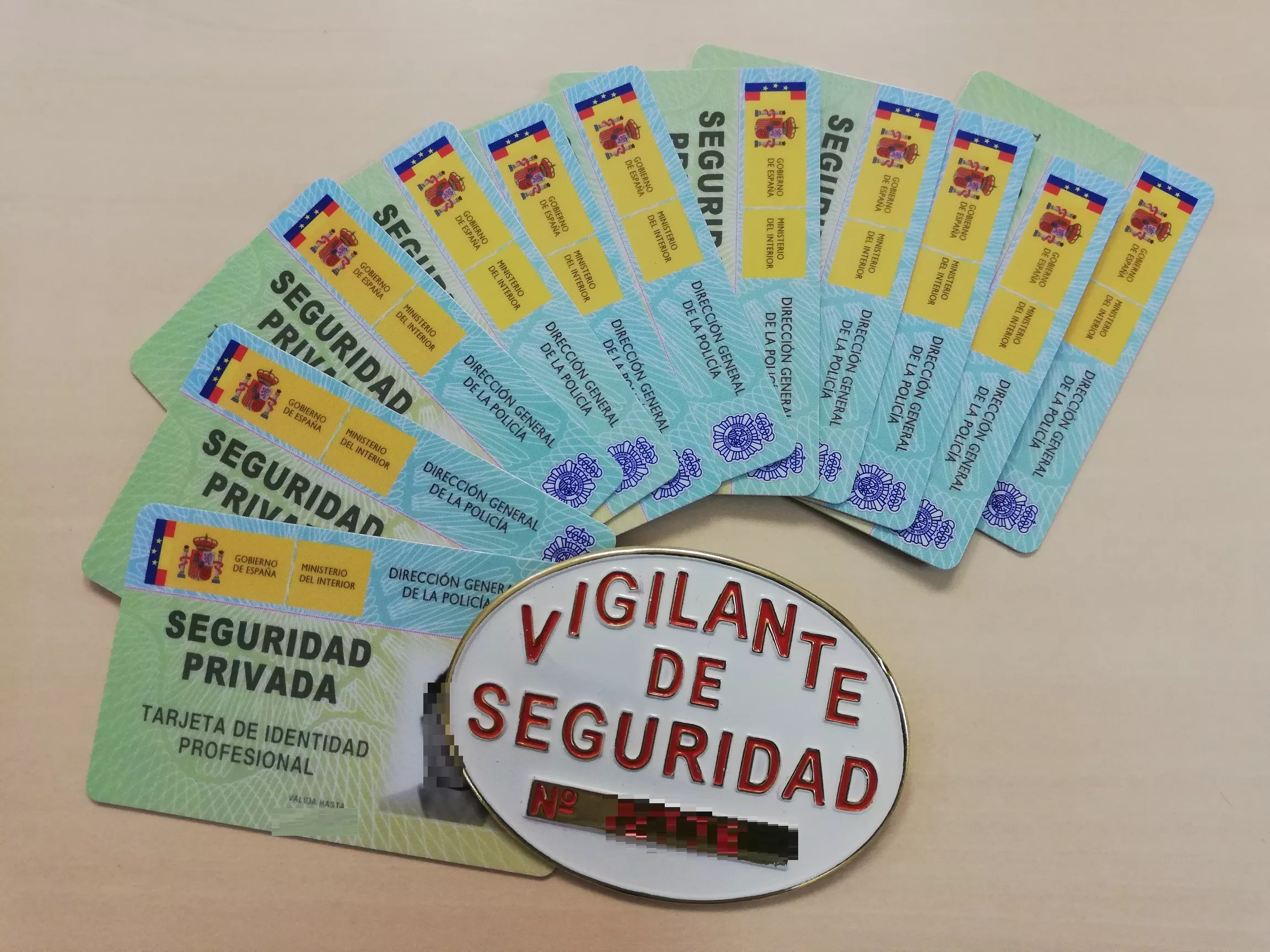 noticias cadiz Cádiz Operación AULA Seguridad Privada..jpg noticias cadiz Cádiz Operación AULA Seguridad Privada..jpg