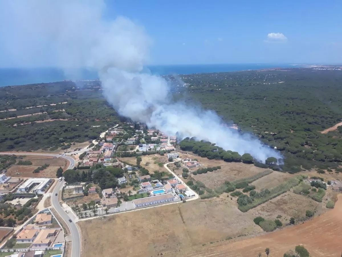 noticias cadiz incendio en conil.jpg