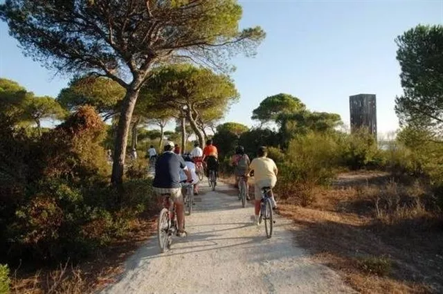 noticias cadiz toruños ciclistas.jpg noticias cadiz toruños ciclistas.jpg