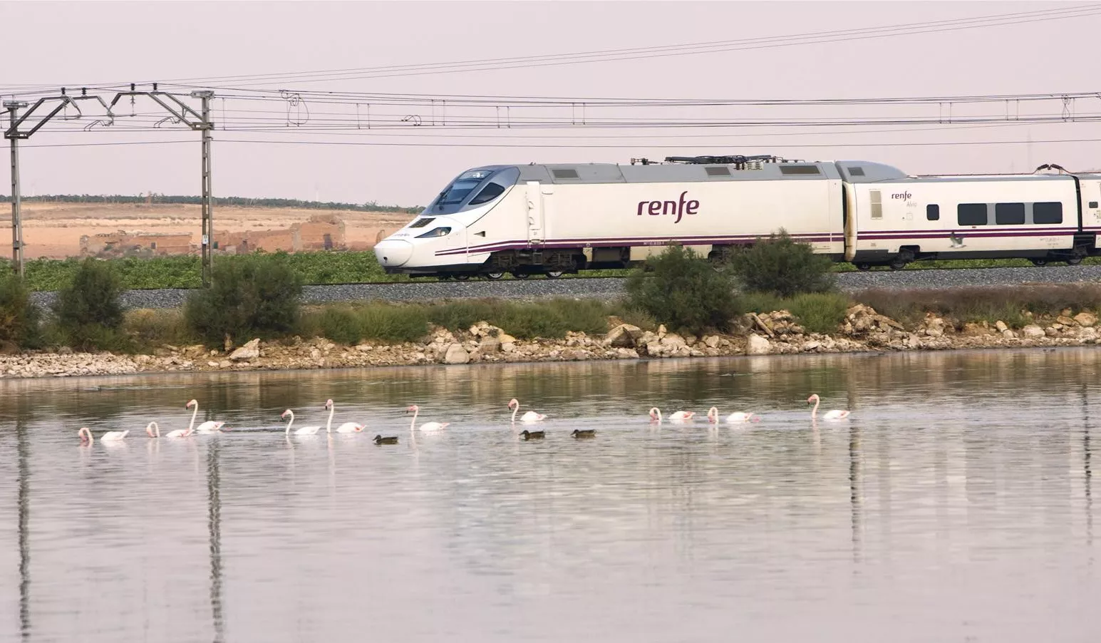 noticias cadiz trenes .jpg noticias cadiz trenes .jpg