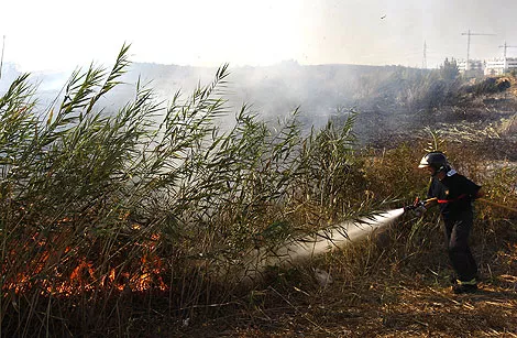 ocadizdigital incendiosforestales_1.jpg ocadizdigital incendiosforestales_1.jpg