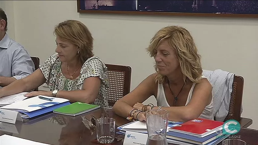 Maria José Rodríguez en el ultimo consejo de administración de Aguas de Cádiz NOTICIAS CADIZ MARA RODRIGUEZ.jpg
