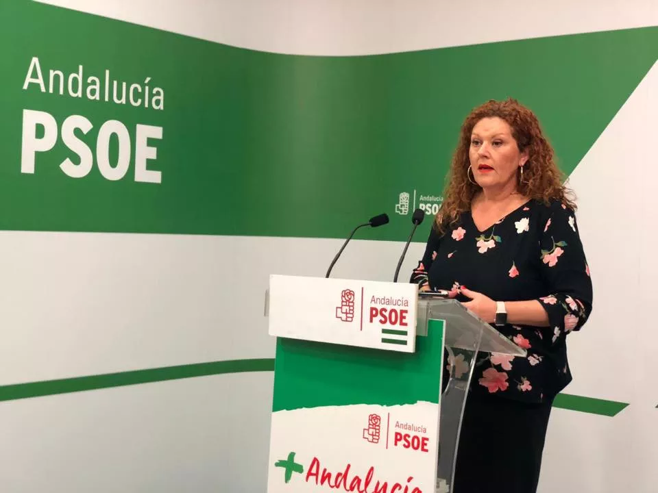 noticias cadiz araceli maese_11.jpg noticias cadiz araceli maese_11.jpg