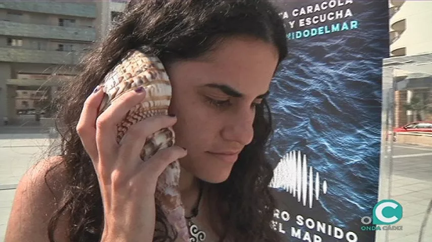 noticias cadiz caracolas otro sonido del mar.jpg noticias cadiz caracolas otro sonido del mar.jpg