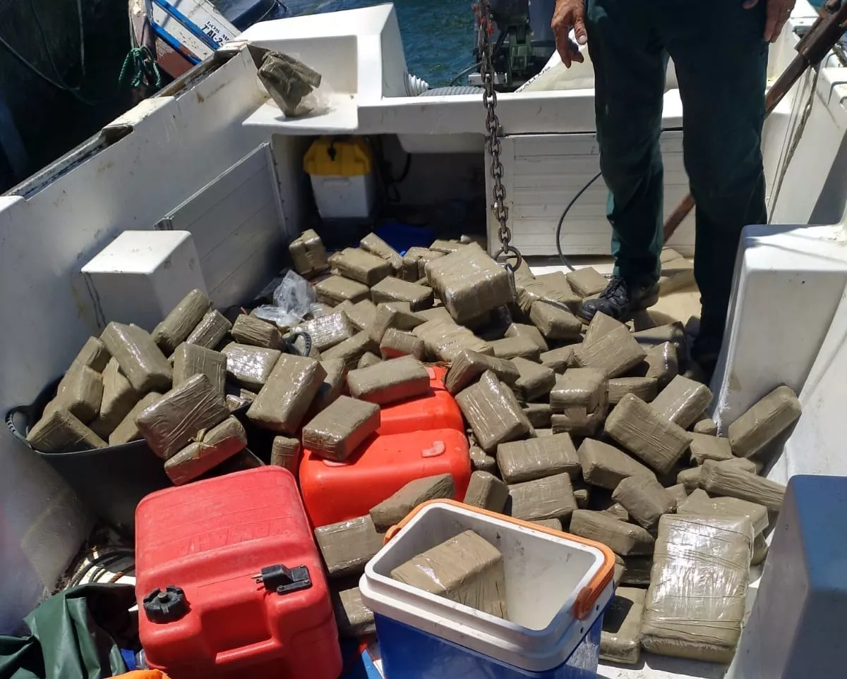 noticias cadiz hachis24.jpg noticias cadiz hachis24.jpg