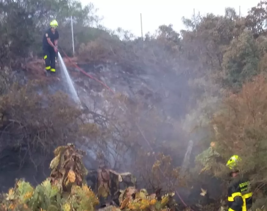 noticias cadiz incendio cuneta puerto real.jpg