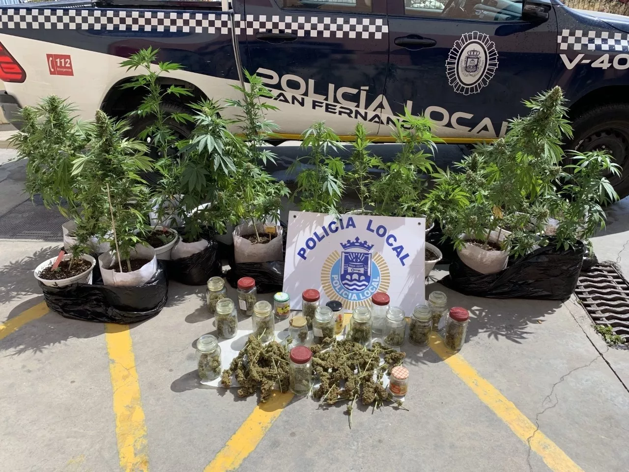 noticias cadiz marihuana san fernando.jpg noticias cadiz marihuana san fernando.jpg