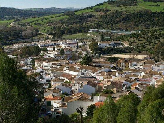 noticias cadiz poblacion el bosque.jpg noticias cadiz poblacion el bosque.jpg