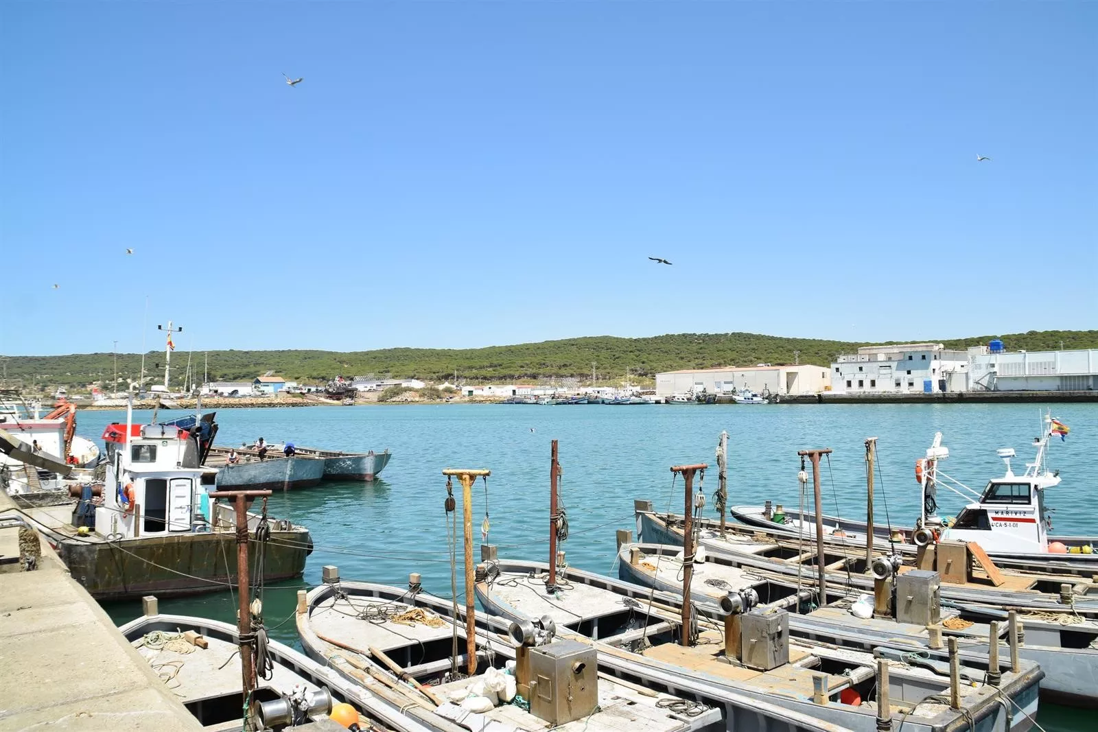 noticias cadiz puerto de barbate.jpg noticias cadiz puerto de barbate.jpg