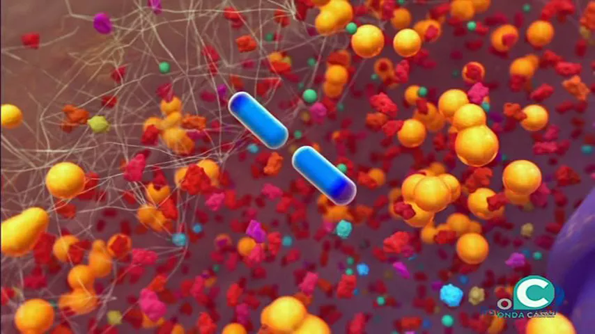 noticias cadiz listeriosis que es.jpg noticias cadiz listeriosis que es.jpg
