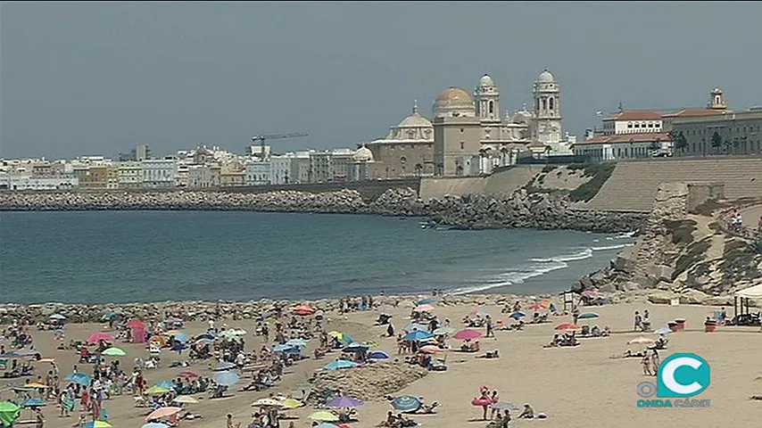 noticias cadiz ayuntamiento mascotas.jpg noticias cadiz ayuntamiento mascotas.jpg