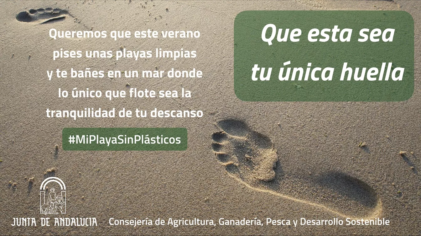 noticias cadiz campaña plasticojpeg.jpeg