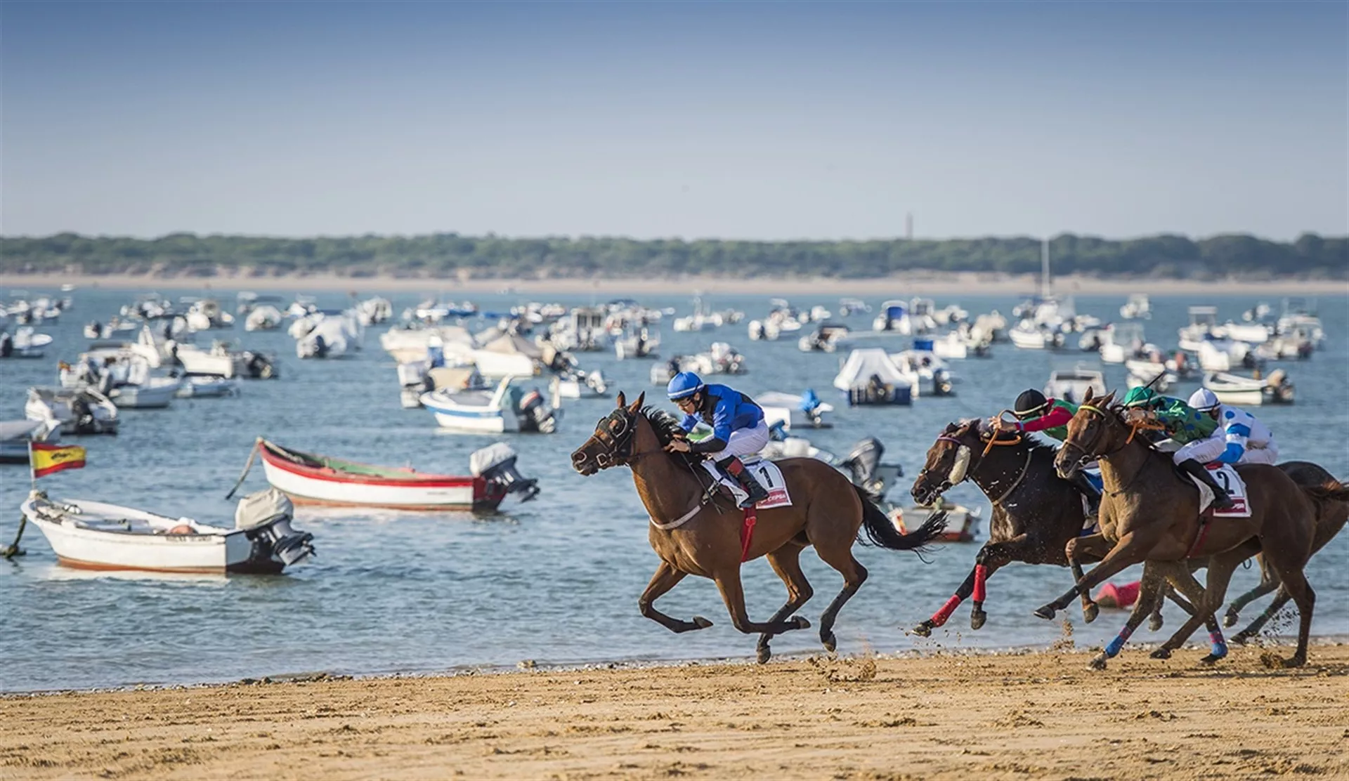 noticias cadiz carrera de caballos.jpg noticias cadiz carrera de caballos.jpg