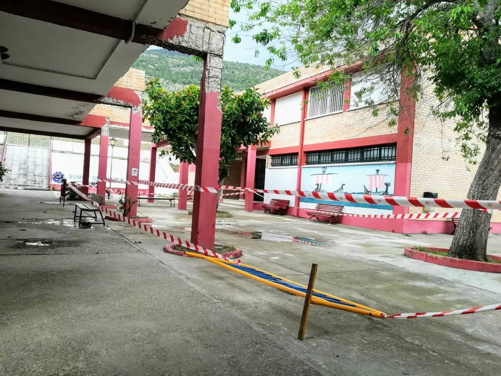 noticias cadiz colegio algodonales.jpg noticias cadiz colegio algodonales.jpg