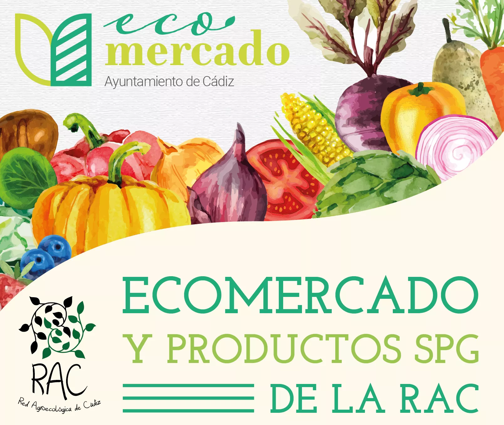 noticias cadiz ecomercado.png noticias cadiz ecomercado.png