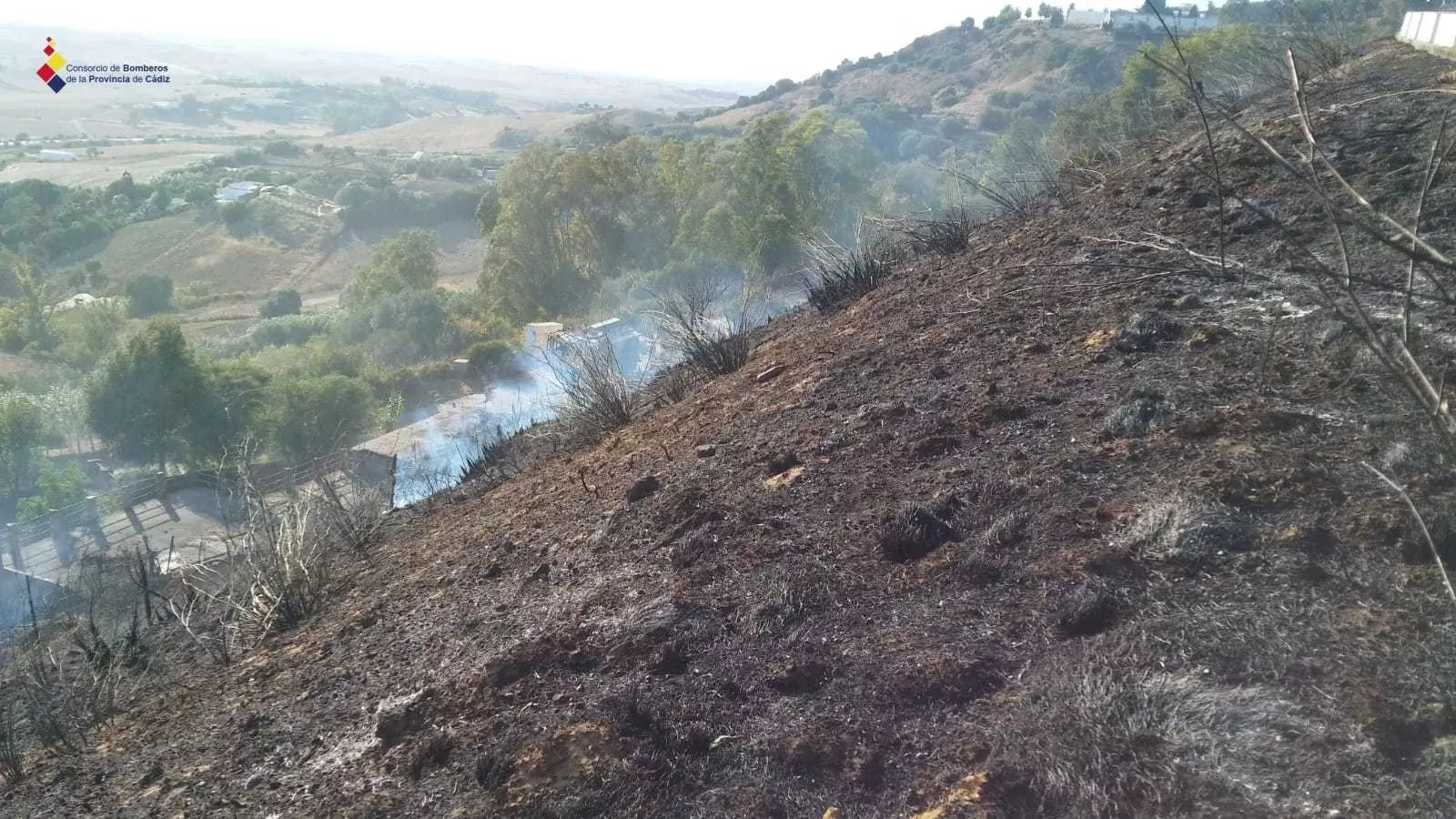 noticias cadiz incendio forestal medina.jpg