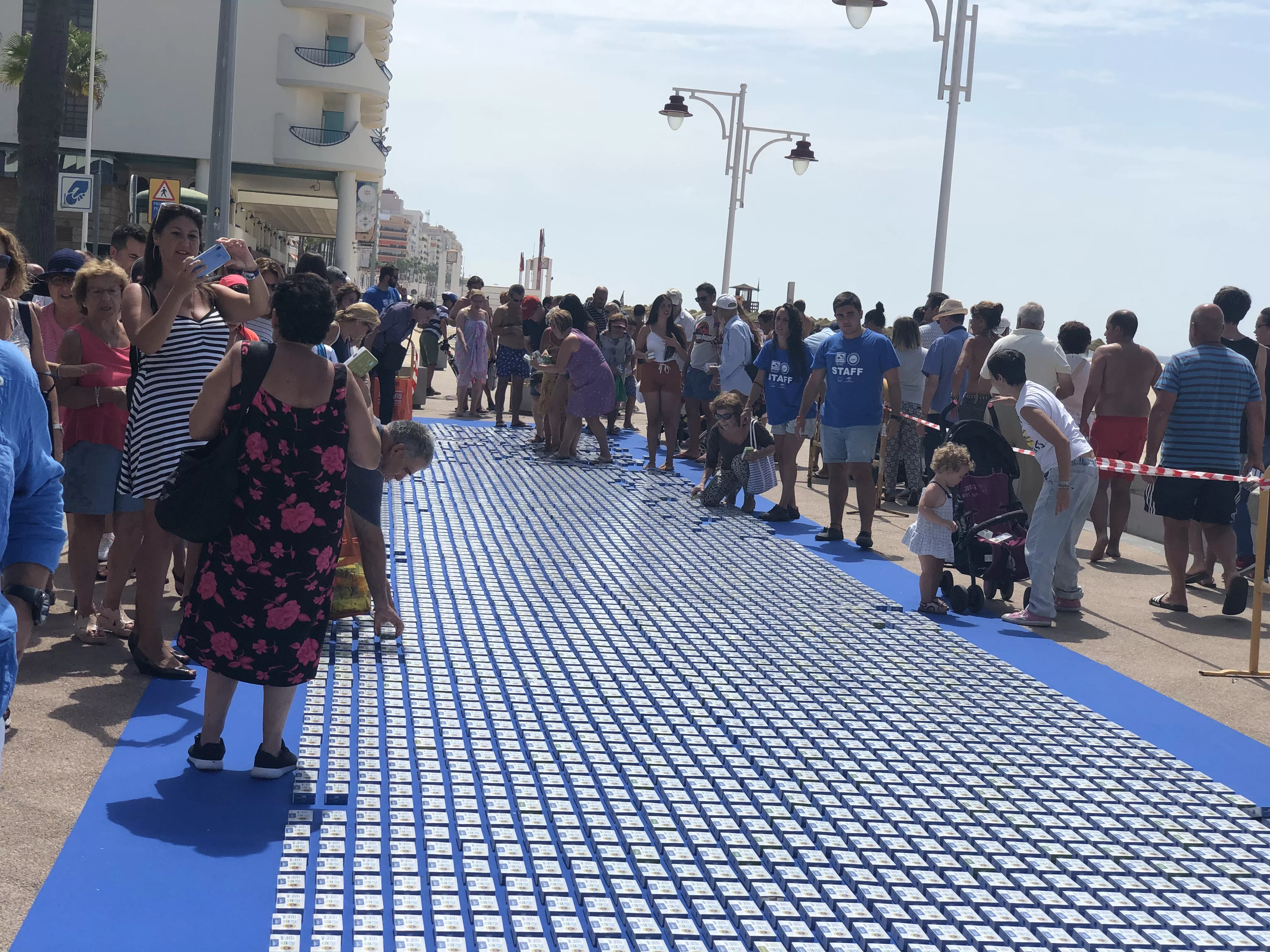 noticias cadiz latas caballa.jpg noticias cadiz latas caballa.jpg