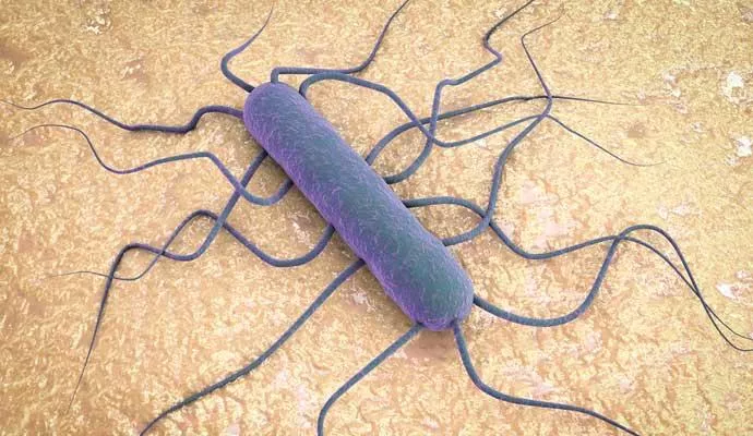 noticias cadiz listeriosis_0.jpg noticias cadiz listeriosis_0.jpg