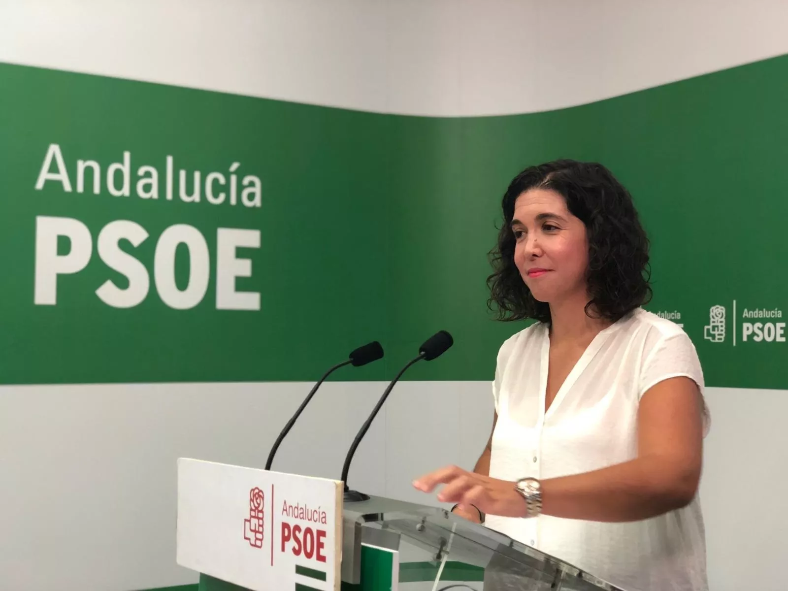 noticias cadiz noelia ruiz psoe.jpg noticias cadiz noelia ruiz psoe.jpg