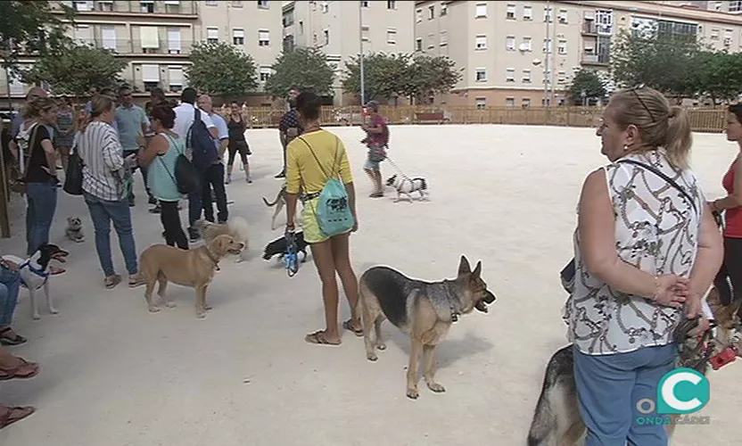 FOTO PERROS.jpg FOTO PERROS.jpg