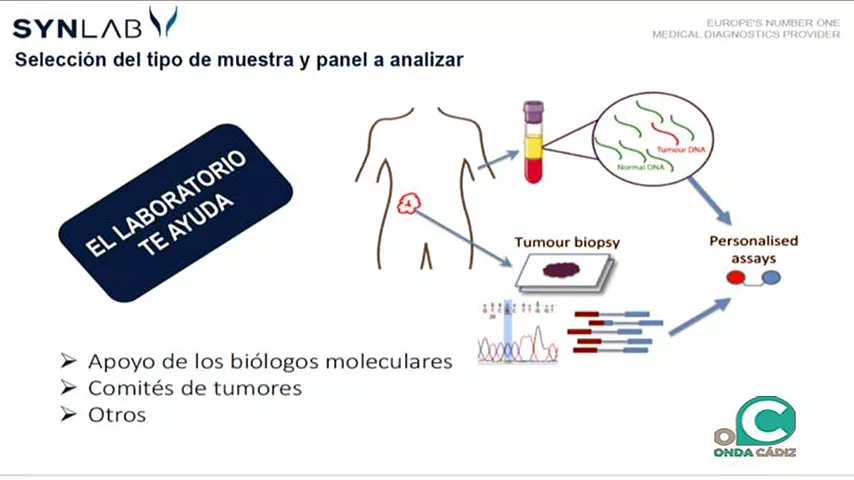 NOTICIAS CADIZ BIOMEDICINA.jpg NOTICIAS CADIZ BIOMEDICINA.jpg