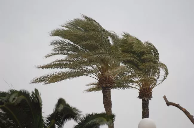 alerta-amarilla-en-el-estrecho-por-fuerte-viento-de-levante.jpg