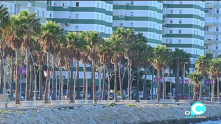 noticias cadiz barriada de la paz 2_0.jpg noticias cadiz barriada de la paz 2_0.jpg