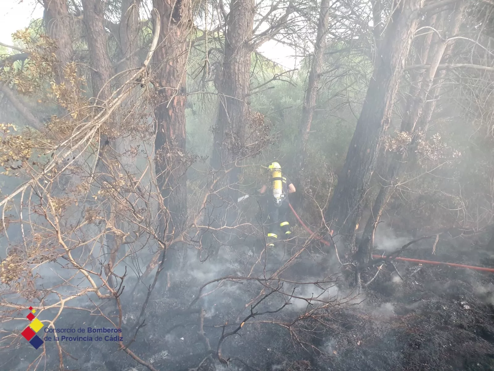 noticias cadiz bomberos_0.JPG noticias cadiz bomberos_0.JPG