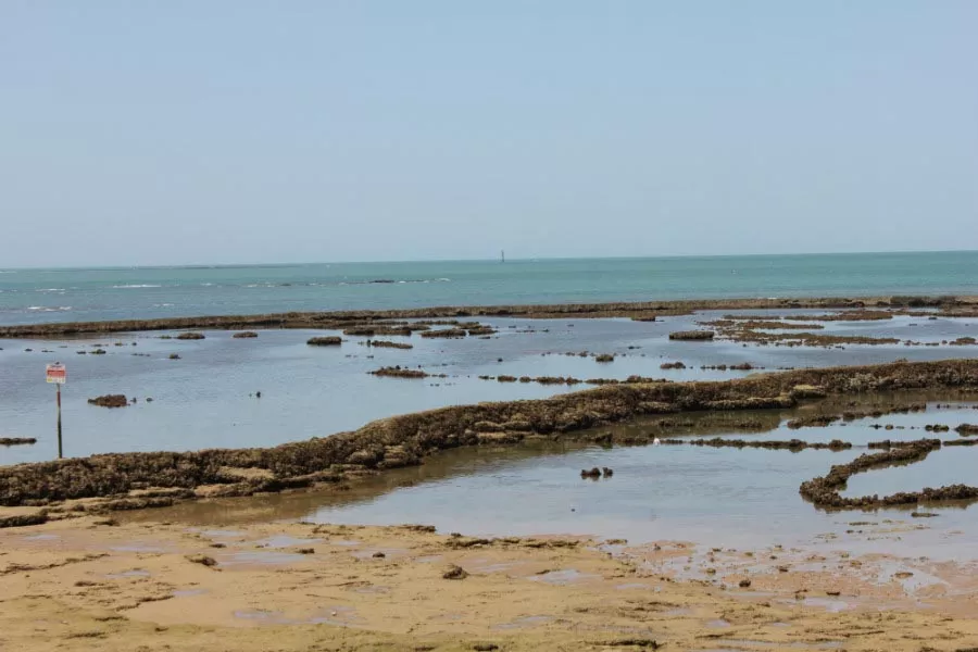 noticias cadiz chipionaOKOK.jpg noticias cadiz chipionaOKOK.jpg