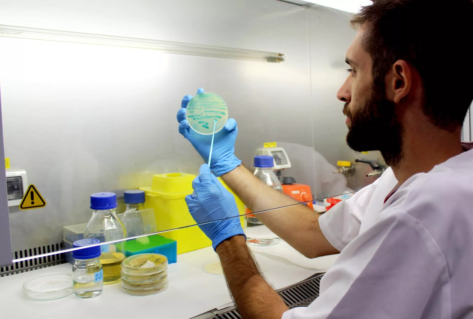 noticias cadiz investigador listeriosis.jpg noticias cadiz investigador listeriosis.jpg