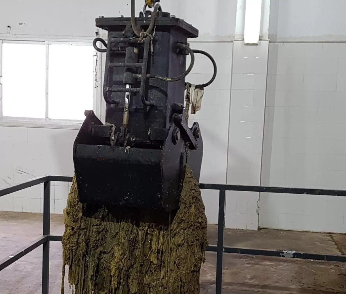 noticias cadiz toallitas de conil.jpg noticias cadiz toallitas de conil.jpg