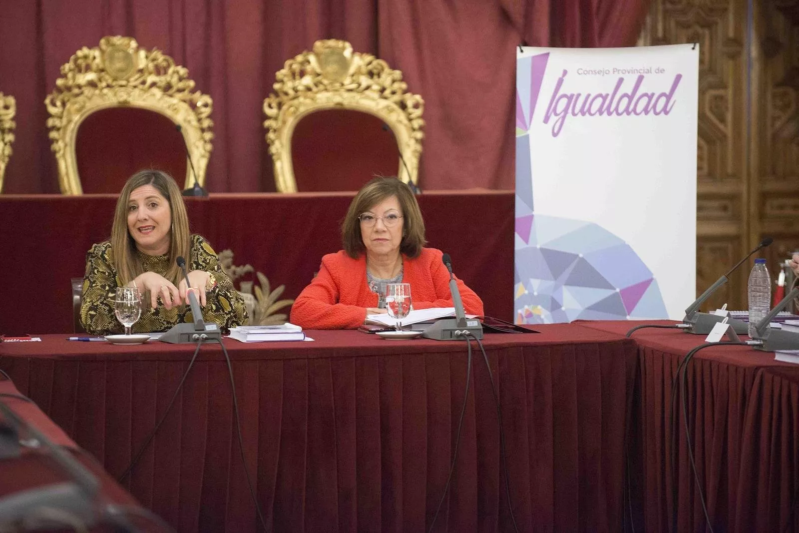 NOTICIAS CADIZ CONSEJO IGUALDAD.jpg NOTICIAS CADIZ CONSEJO IGUALDAD.jpg
