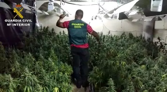 noticias cadiz detenidos marihuana.jpg noticias cadiz detenidos marihuana.jpg