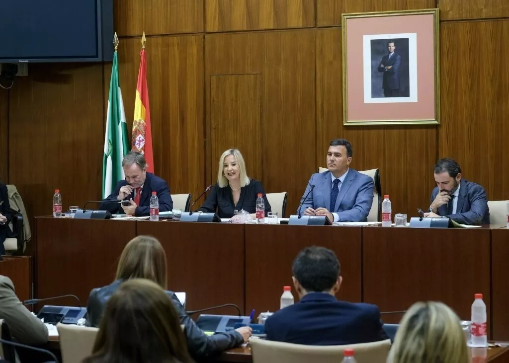 noticias cadiz fiscalia_0.jpg noticias cadiz fiscalia_0.jpg